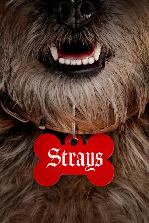 strays-(2023)